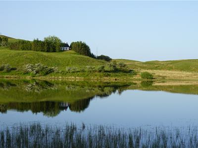 Picture 37